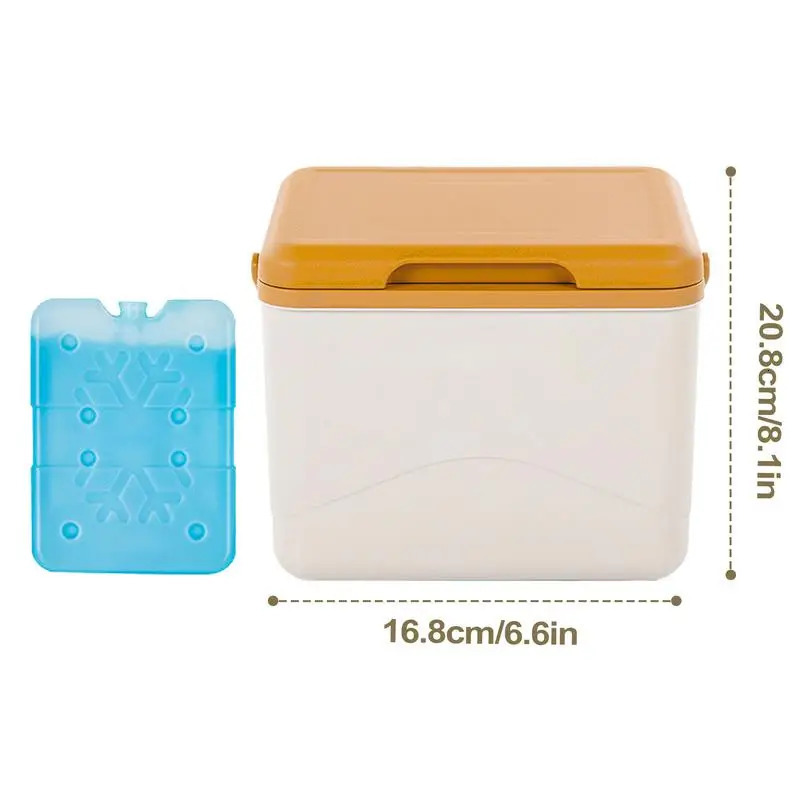 Ship from US Insulated Cooler Box Waterproof Delivery Ice Pack Thermal Containers LeakProof Lunch 5L Bag Picnic 250227FBB