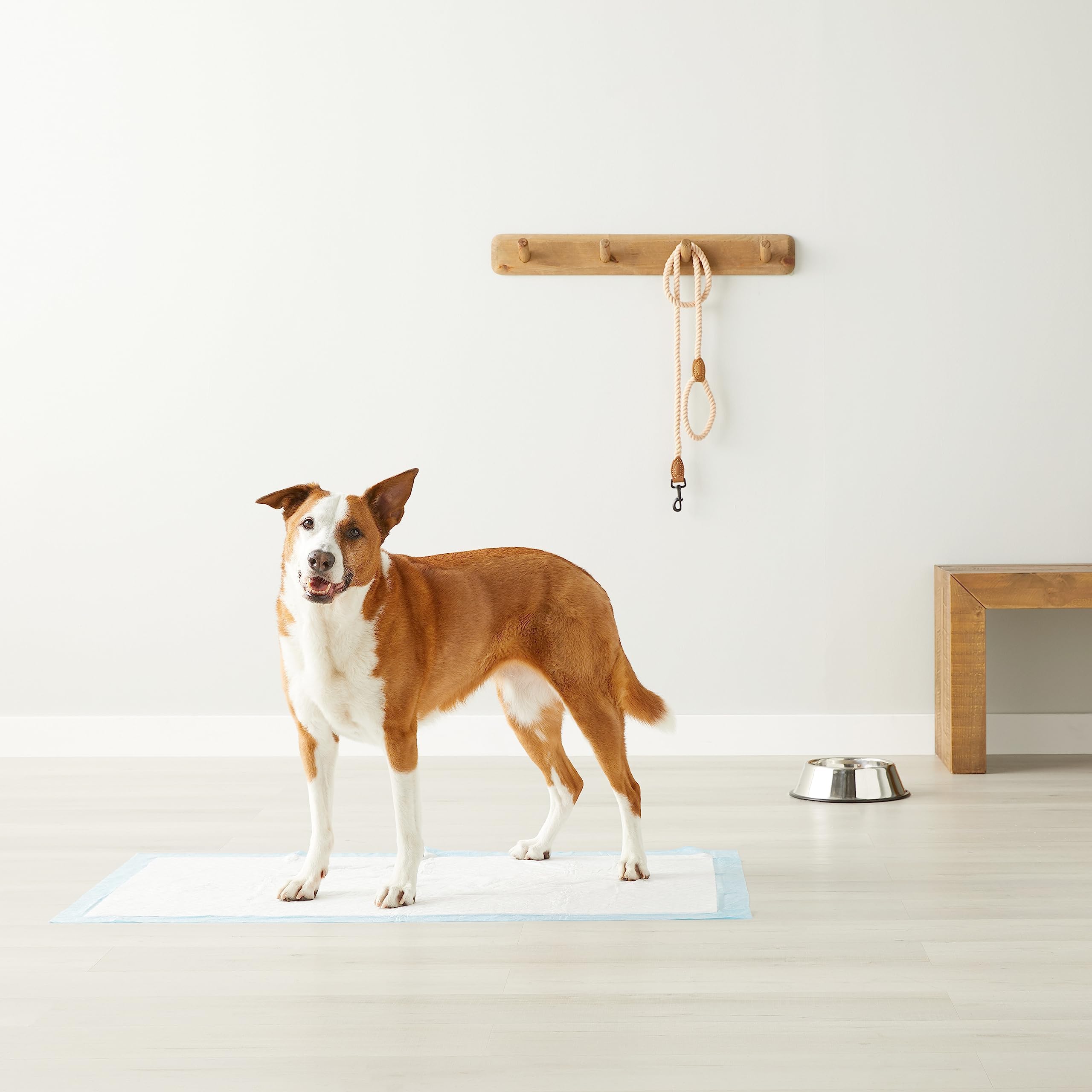 Amazon Basics Dog and Puppy Pee Pads with Leak-Proof Quick-Dry Design for Potty Training