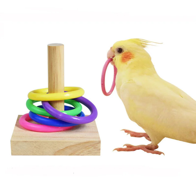 Bird Training Toys Set Wooden Block Puzzle Toys For Parrots Colorful Plastic Rings Intelligence Training Chew Toy Bird Supplies 250226