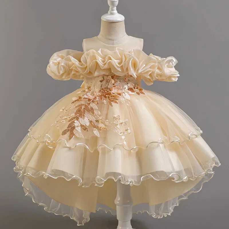 Girl's Dresses Summer Children Princess Dress Lace Mesh Sleeveless Flower Girl Dresses for Weddings Fashion Girls Party Dress 2-12 Years Y2502270