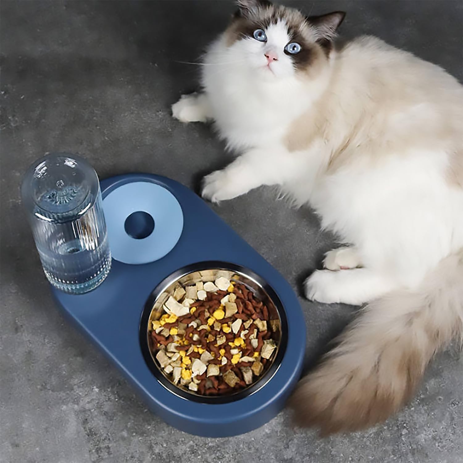 Automatic dog and cat food and water dispenser set, pet food bowl set with automatic water bottle, suitable for small or medium sized dog and cat