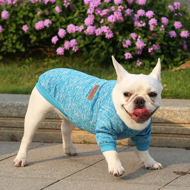 Fall - Winter Woolen Pullover Hoodies for French Bulldogs, Pugs, Dogs and Cats - Two - Legged Pet Clothes Supplies