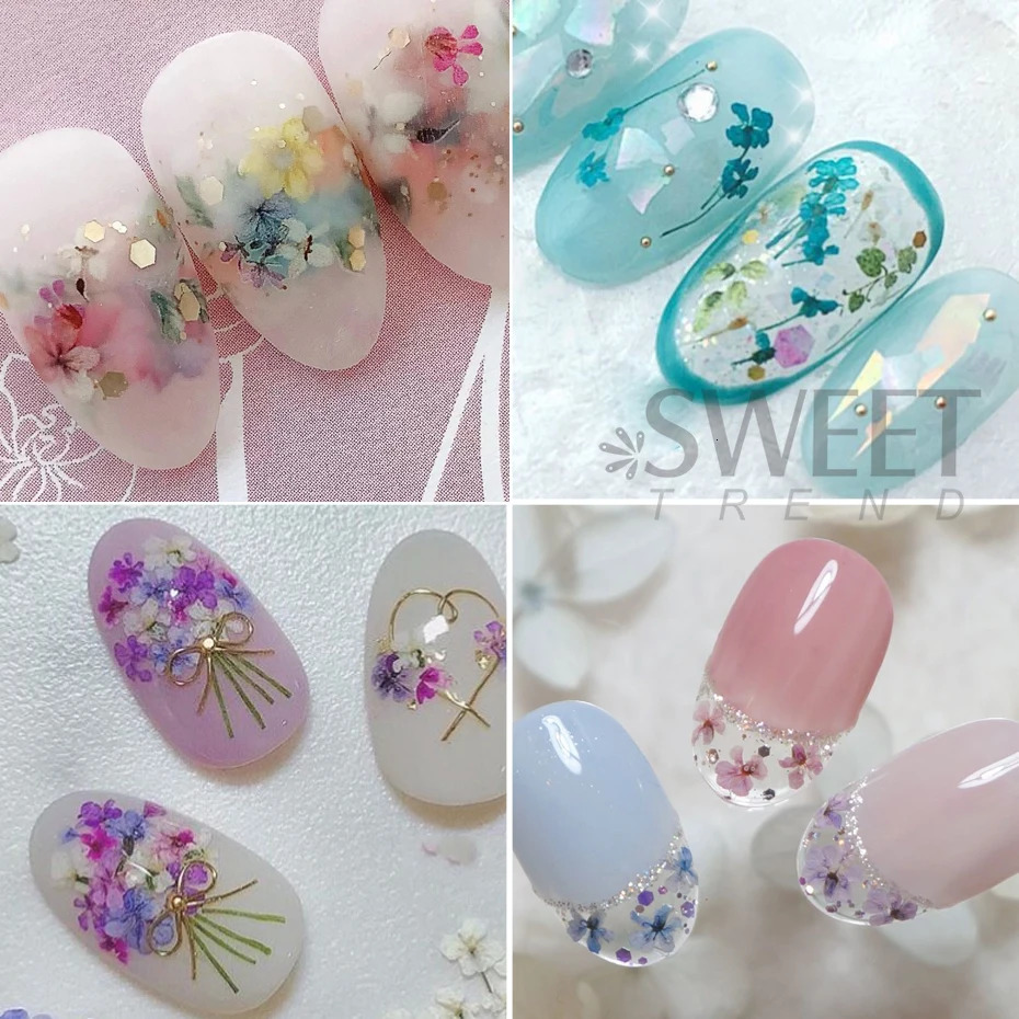 1Box Nail Art Flower Decoration Exquisite 3D Dried Accessories 250217