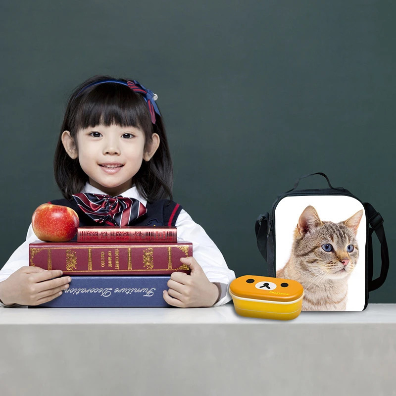 Ship from US Custom Color Pet Pattern Student Lunch Bag For The Beginning Of School Box Polyester Boys And Girls Lovers 250227FBB