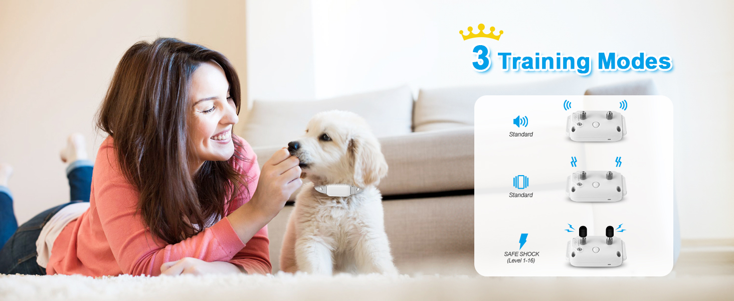 Waterproof Rechargeable Dog Electric Training Collar with Remote for Small Medium Large Dogs with Beep,