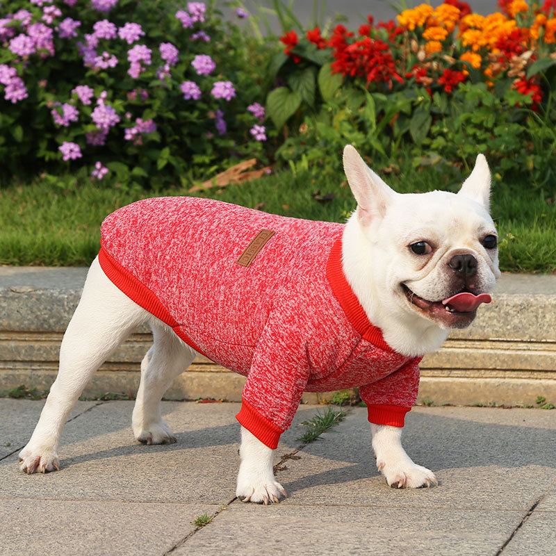Fall - Winter Woolen Pullover Hoodies for French Bulldogs, Pugs, Dogs and Cats - Two - Legged Pet Clothes Supplies