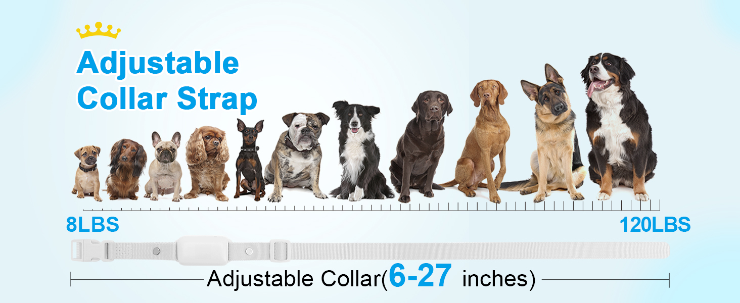 Waterproof Rechargeable Dog Electric Training Collar with Remote for Small Medium Large Dogs with Beep,