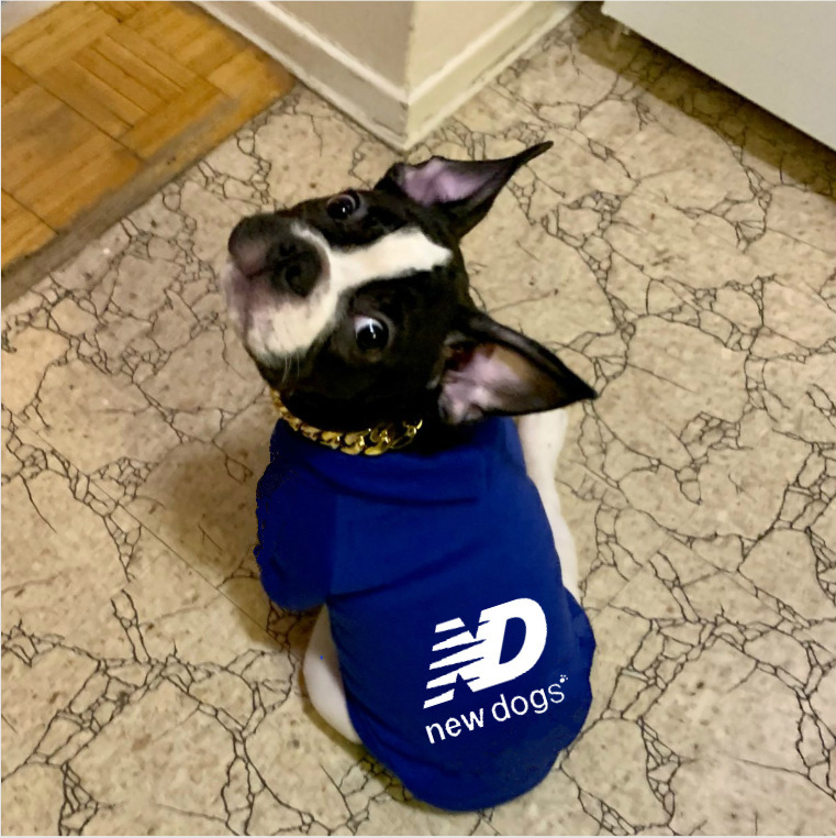 Dog Shirts Clothes, ND NEW DOGS Dog Clothes T-Shirt Vest Soft and Thin, Pure Cotton Solid Color Shirts Clothes Fit for Small Medium Large Extra Large 