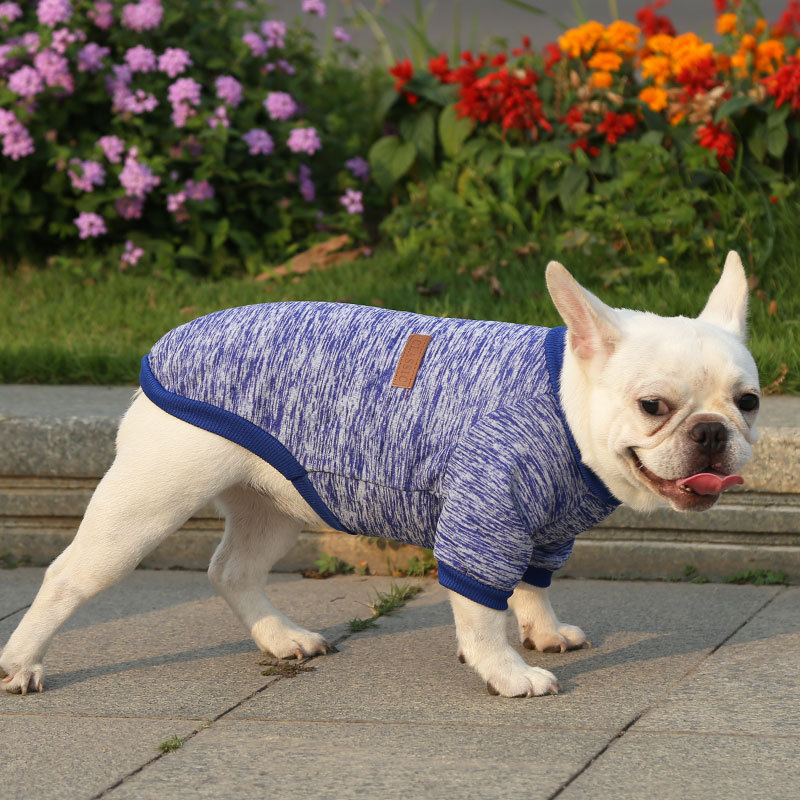 Fall - Winter Woolen Pullover Hoodies for French Bulldogs, Pugs, Dogs and Cats - Two - Legged Pet Clothes Supplies