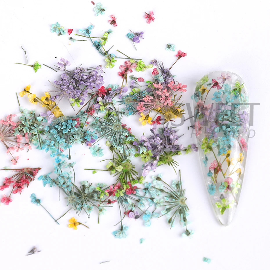 1Box Nail Art Flower Decoration Exquisite 3D Dried Accessories 250217