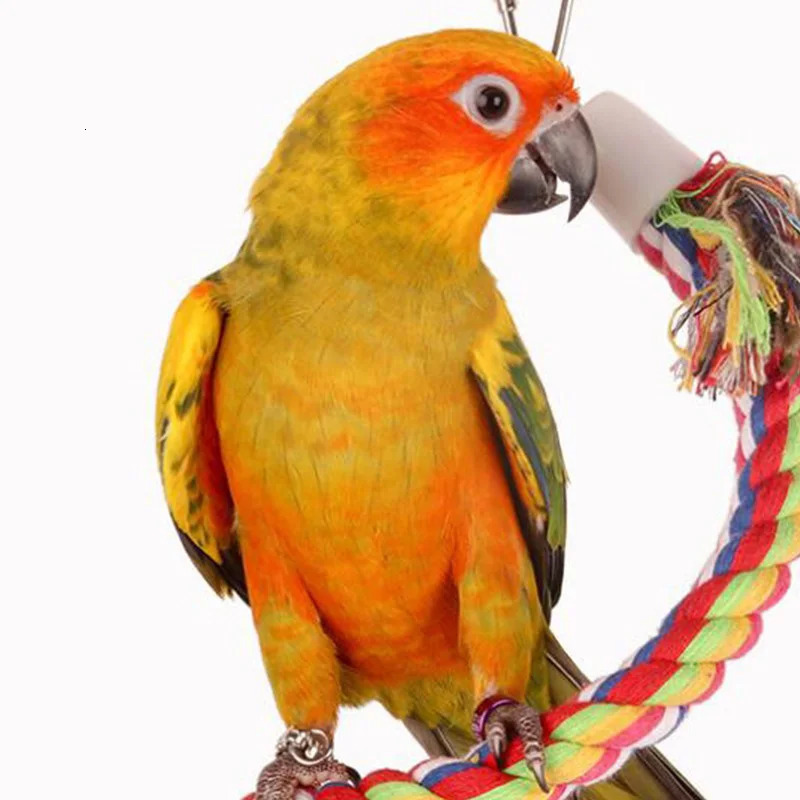 Parrot Toy Wicker Rope Hanging Braided Budgie Chew Bird Cage Cockatiel Toy Pet Stand Training Accessories Bite Swing Supplies 250226
