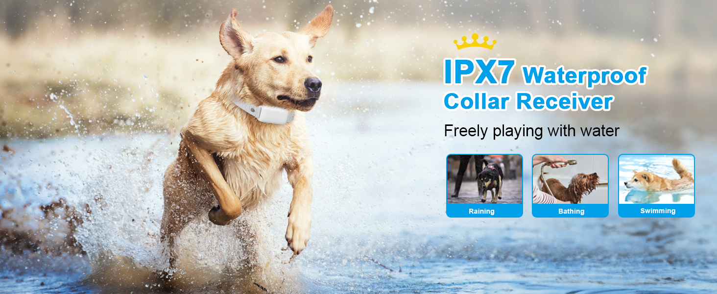 Waterproof Rechargeable Dog Electric Training Collar with Remote for Small Medium Large Dogs with Beep,