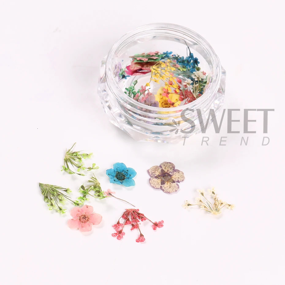 1Box Nail Art Flower Decoration Exquisite 3D Dried Accessories 250217
