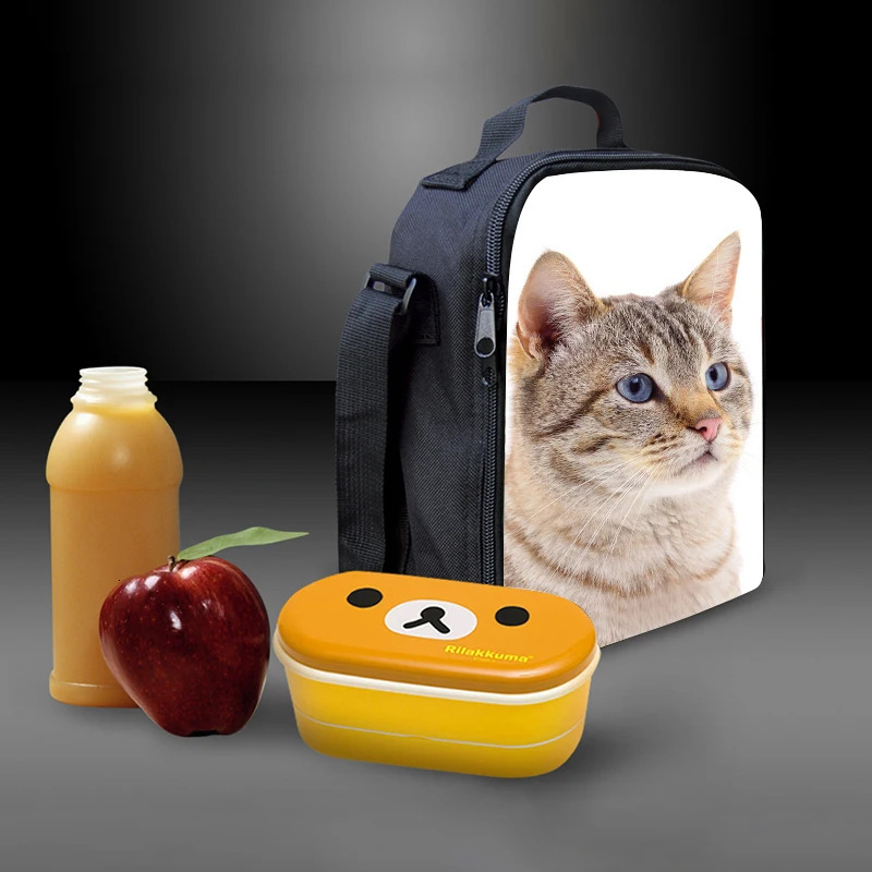 Ship from US Custom Color Pet Pattern Student Lunch Bag For The Beginning Of School Box Polyester Boys And Girls Lovers 250227FBB