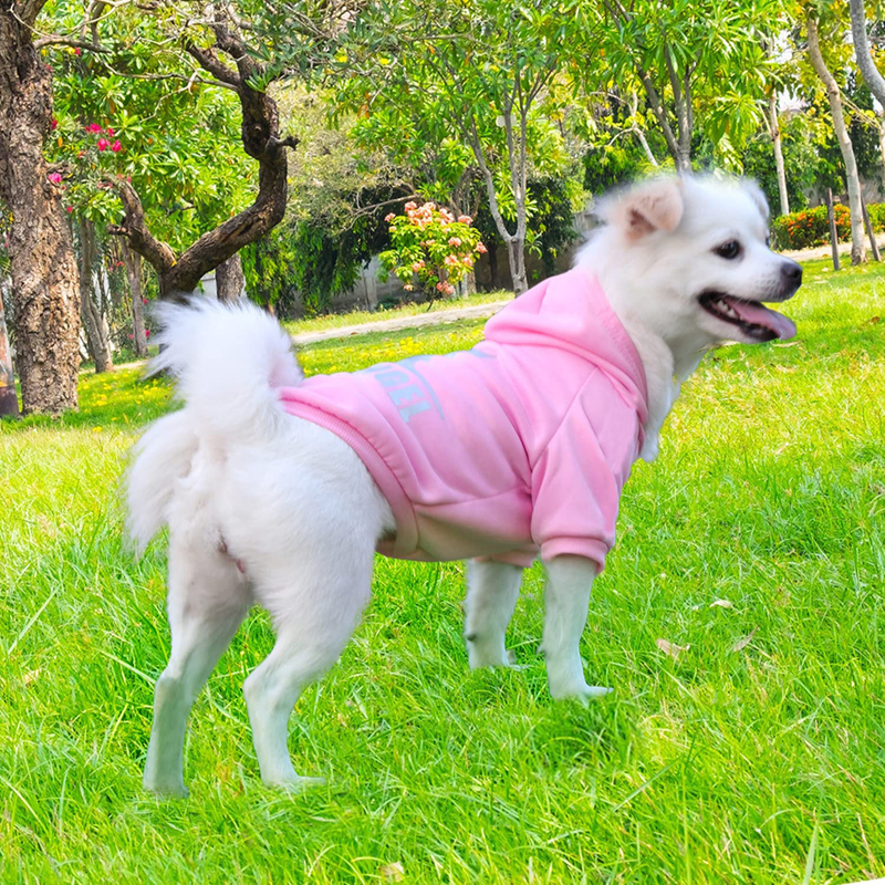 DOG ANGEL Dog Hoodie for Small Medium Large Dogs, Winter Fall Warm Dog Clothes for Various Varieties Dogs , Dog Shirt Jackets with Bulldog Clothing Co