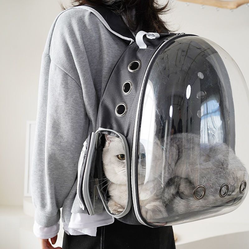 Carriers Pet Panoramic Outing Cat Bag Portable Breathable Clear Shoulder Puppy Space Capsule Backpack