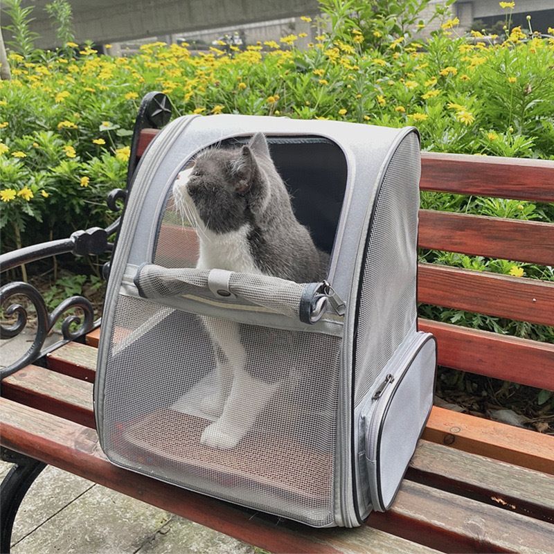 Cat Dog Outdoor Portable Pet Backpack Lightweight Foldable Detachable Large Capacity Full Mesh Breathable Bag