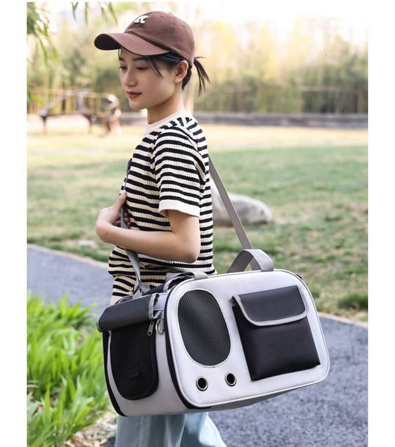 Designer-Mode neue e aus tragbare Handtasche Atmungsaktive Haustier vier Jahreszeiten Universal Rollo Tasche
