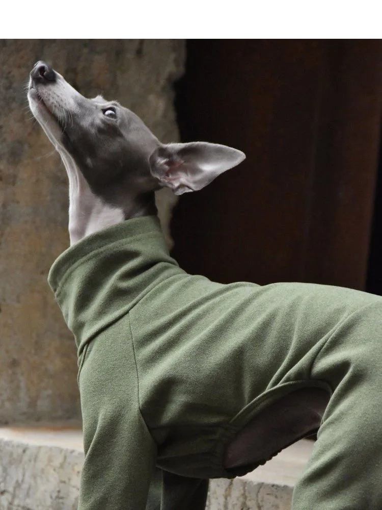 Fahison Whippet Italian Greyhound Clothing Cotton Dog Jammies Winter Warm Turtleneck Stretch Pet clothes 250226