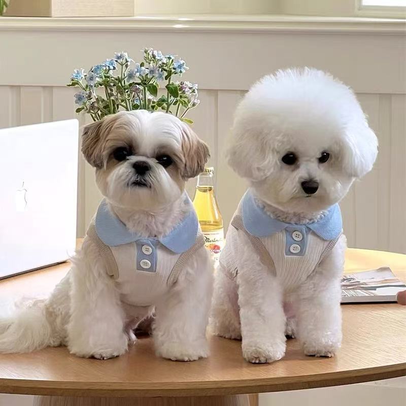 Petite Doggy & Kitten Fashion Accessory: Breathable Knit Waffled Coat Jacket | Seasonal Outerwear for Chihuahuas, Yorkies, Cats