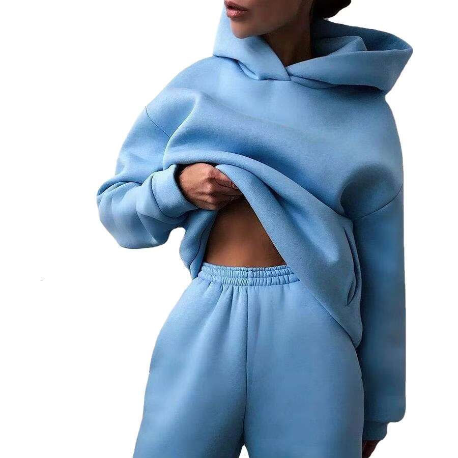 Wholesale Factory Casual Style Printing Your Brand Blank Plain Cheap High Quality With Customized Labels Women Bulk Hoodie
