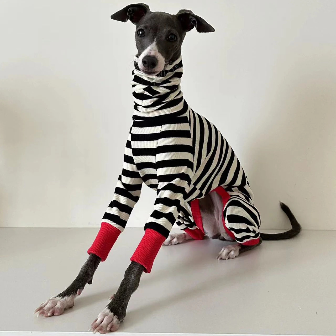 Italian greyhound striped four-legged clothing soft stretchy whippet clothing winter warm dog clothing 250226