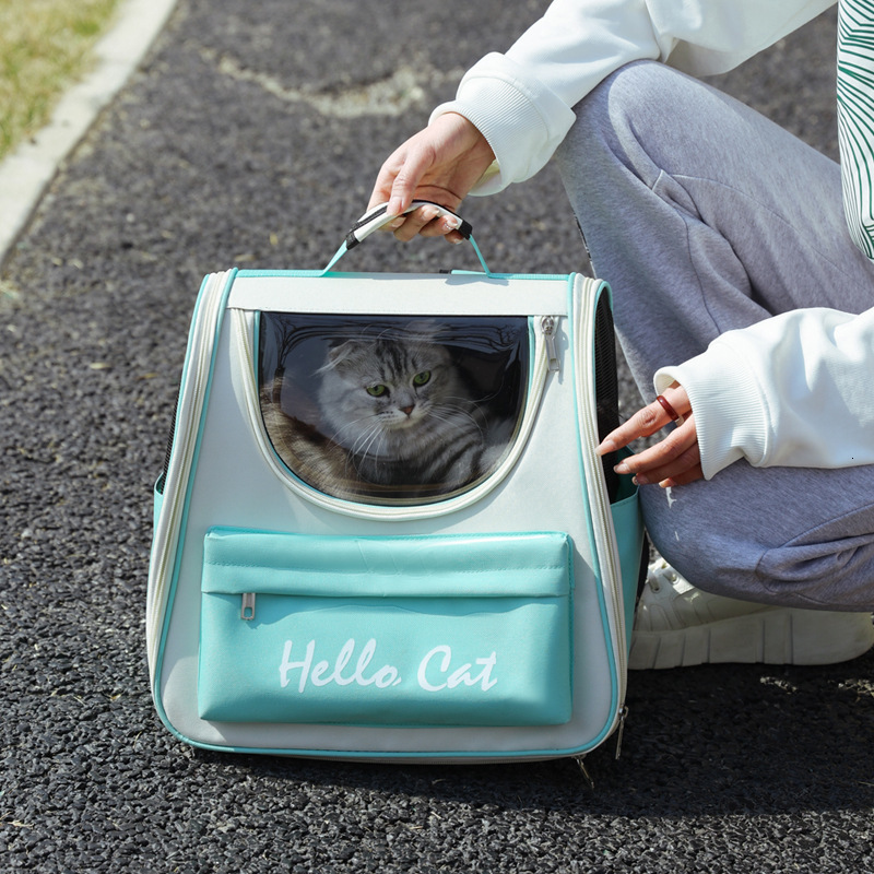 Cat easy use, spacious and breathable pet with multiple holes, suitable for all seasons, outdoor travel, backpack,