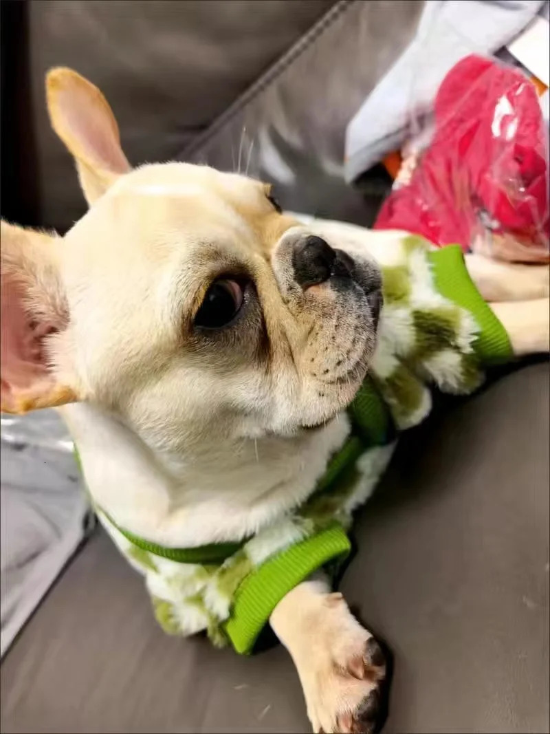 French Bulldog Winter Dog Clothes Coat Warm and Thickened Vest Jacket Fat Dog Costume Bulldog Pug Green Plaid Pet Dog Clothes 250226