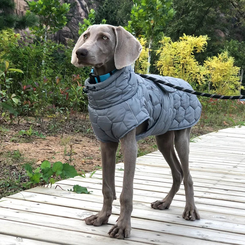 Winter Dog Clothes for Large Breed Reflective Snowsuit Big Dog Jacket with Fleece Lining Warm Coat for Whippet Greyhound Pet 250226
