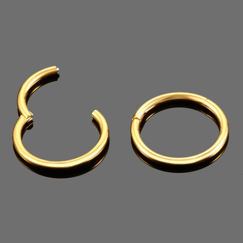 50/100Pcs Round Ear Helix Hoop Earrings 16G 20G Stainless Steel Hinged Segment Nose Piercing Body Jewelry Wholesale 6-16mm 250227