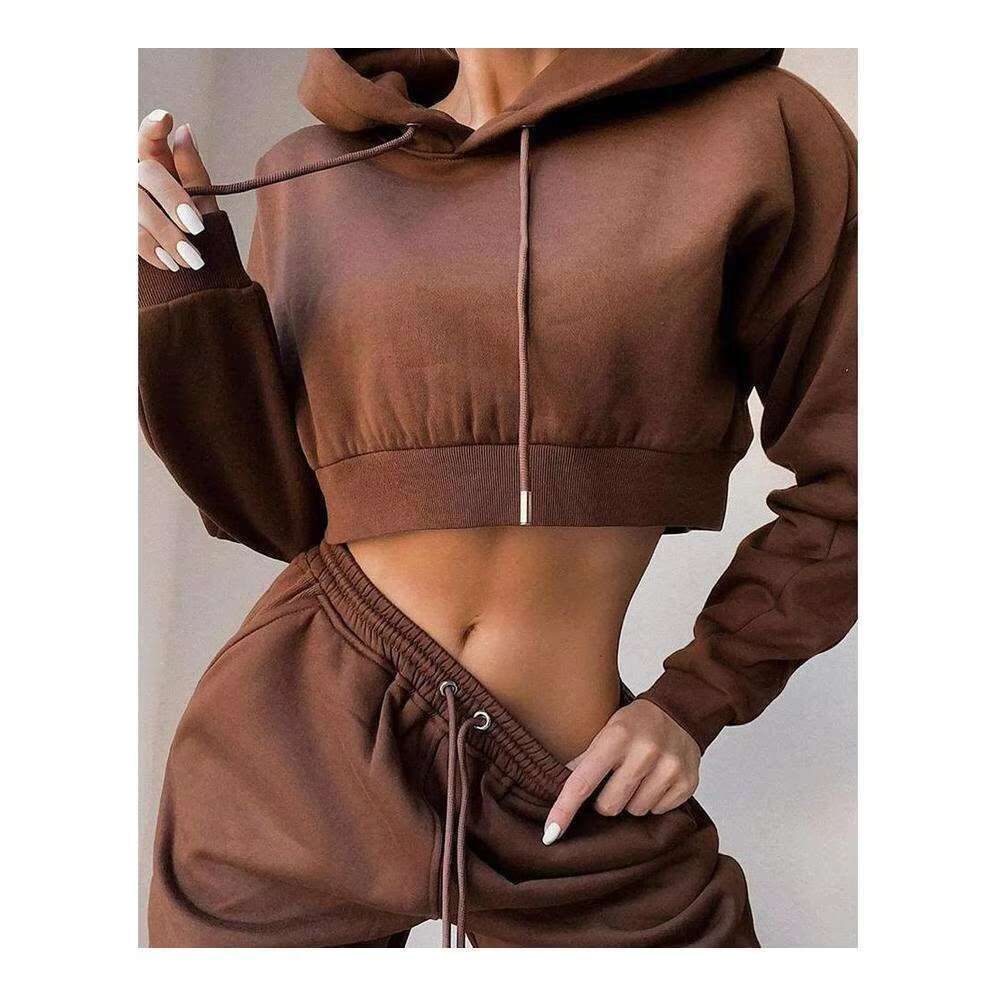 Custom Hoodies High Quality Heavyweight Oversize Sweatshirt Cotton Fleece Cropped Hoodie For Women