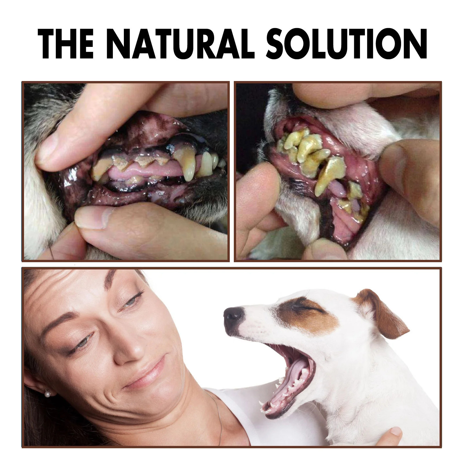 Yegbong 30ml Pet Oral Care Spray Pet Fresh Breath Dental Care Teeth Cleaning Anti Inflammatory Dog Gingivitis Treatm for Cat Dog 250227