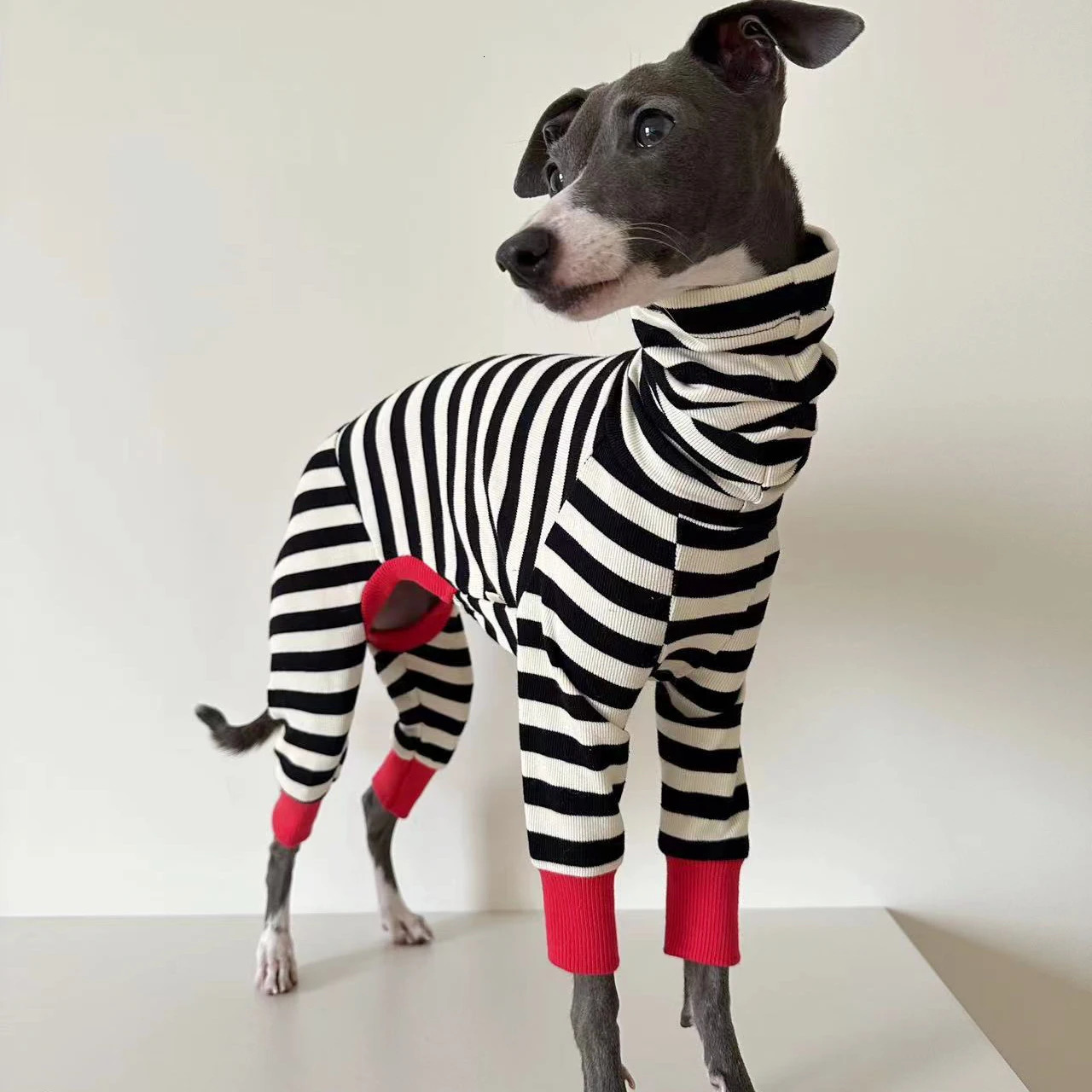 Italian greyhound striped four-legged clothing soft stretchy whippet clothing winter warm dog clothing 250226