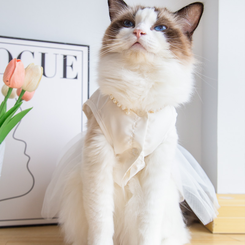 Stock Wholesale Luxury Designer Dog Wedding Dress Pet Clothes Gauze White Dress Sping Summer Dog Apparel