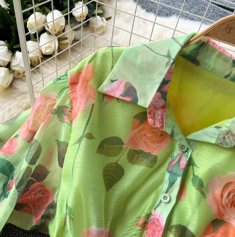 Summer Womens Chiffon Printed Long Sleeve Folding Fashion Elegant and Casual Big Swing Dress 240828