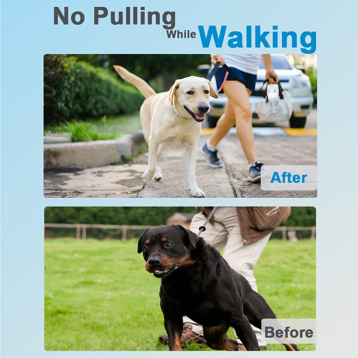 Prong Pinch Collar for Dogs, Adjustable Training Collar with Quick Release Buckle for Small Medium Large Dogs