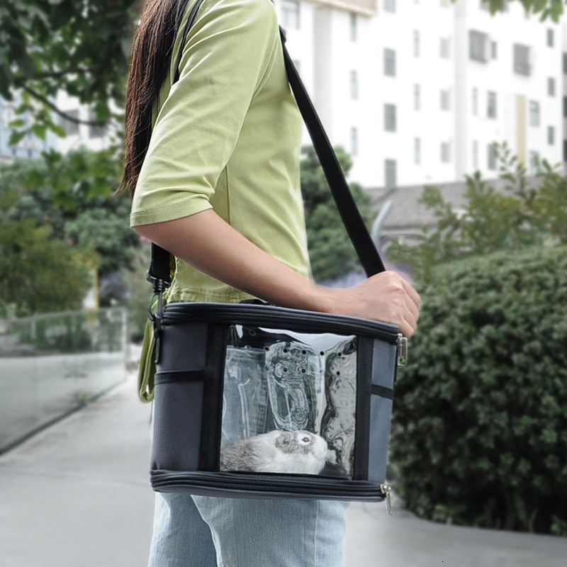 Carriers Parrot Bird Small Pet Hamster Dutch Pig Rabbit One Shoulder Portable Go Out Bag