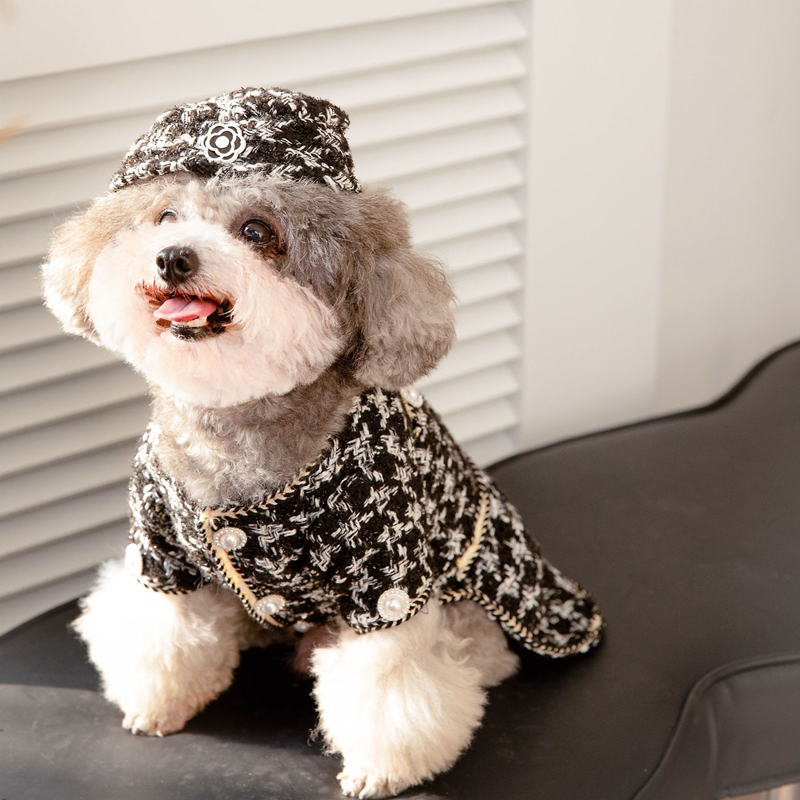 Dog Princess Dresses for Small Dogs luxury Clothes Tweed Costume White Pet Girl Cute Coat Outfits Fall Costumes for Puppy Small Medium Cat Dog XS D41