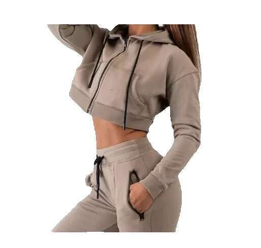 High Quality New Style Wholesale Hot Long Sleeve Lady Top Pullover Crop Hoodies For Women