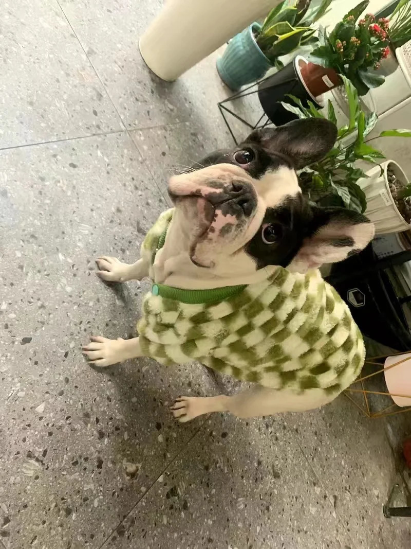 French Bulldog Winter Dog Clothes Coat Warm and Thickened Vest Jacket Fat Dog Costume Bulldog Pug Green Plaid Pet Dog Clothes 250226