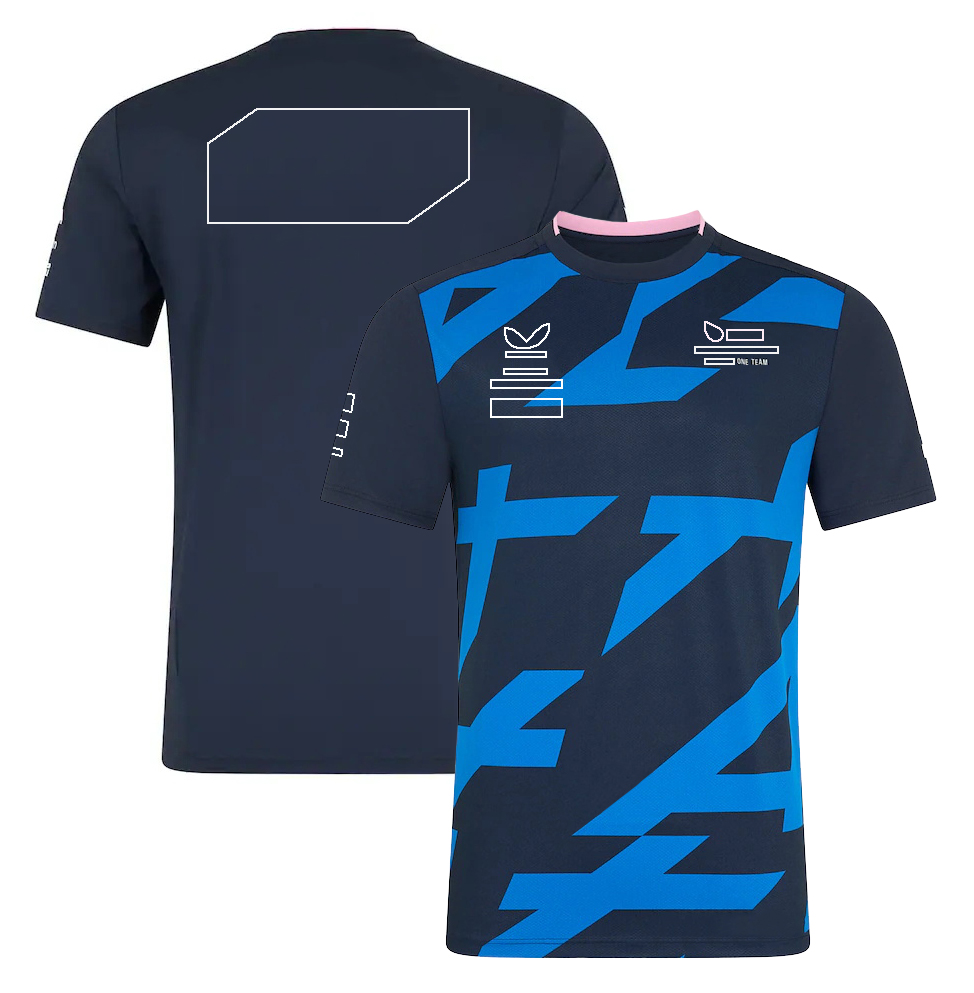 2025 F1 Team Driver T-Shirt Formula 1 Racing Zip Collar Polo Shirt Short Sleeve Summer Car Fans Crew Neck T-shirt Jersey Tops free shipping