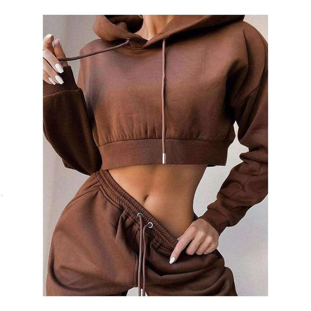 Custom Hoodies High Quality Heavyweight Oversize Sweatshirt Cotton Fleece Cropped Hoodie For Women
