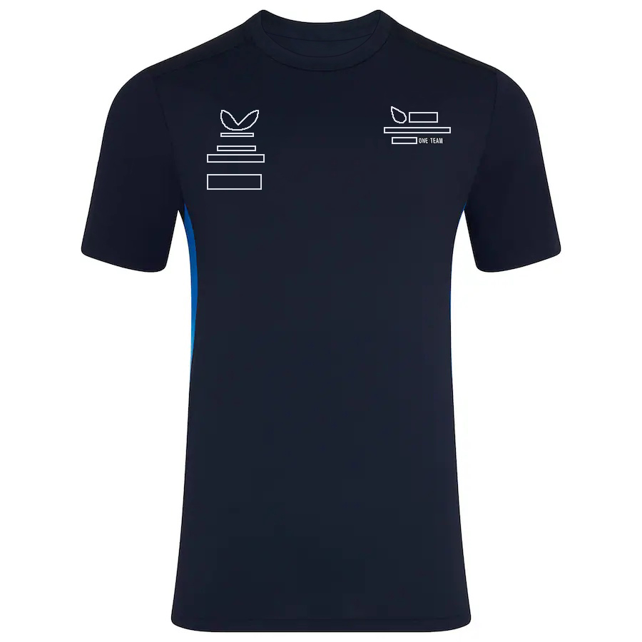 2025 F1 Team Driver T-Shirt Formula 1 Racing Zip Collar Polo Shirt Short Sleeve Summer Car Fans Crew Neck T-shirt Jersey Tops free shipping