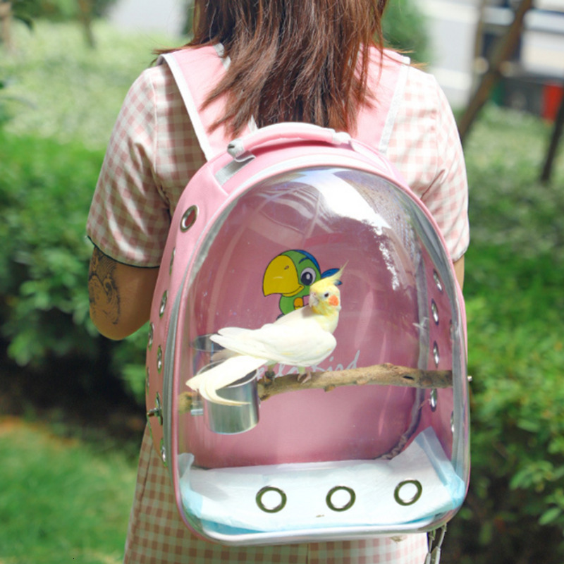 Carriers Parrot Out Pack Warm Breathable Small Pet Backpack Panoramic Transparent Bird Bag