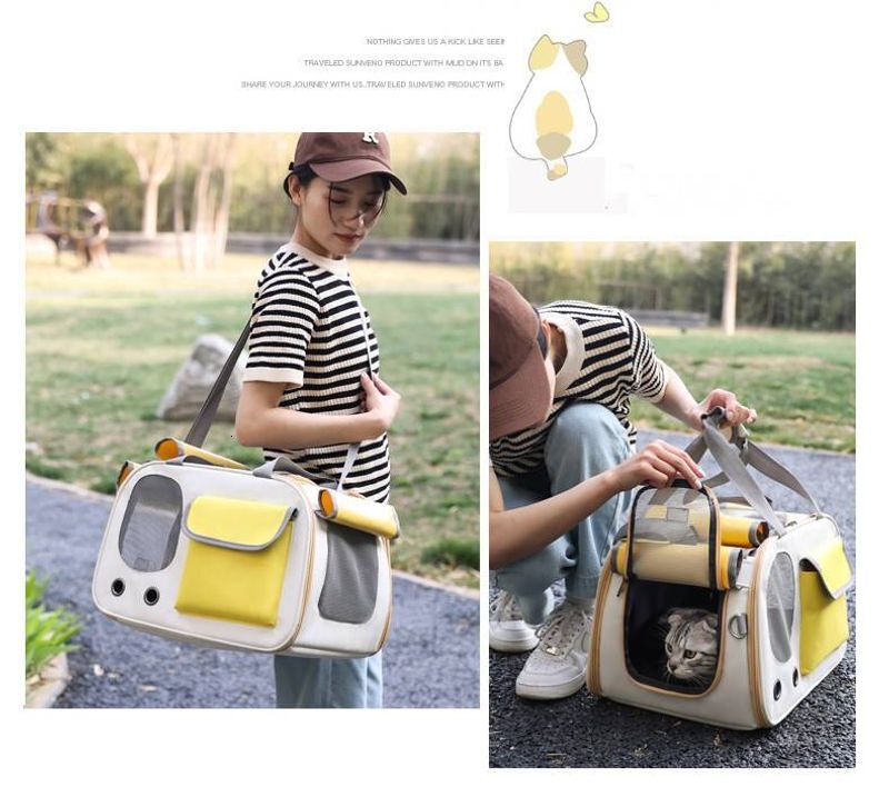 Designer fashion new cat out portable handbag Breathable pet four seasons universal roller curtain bag