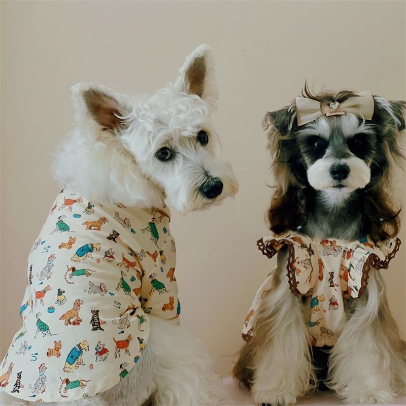 Spring-Friendly Furry Coat by DualPet: Breathable & Adjustable Apparel for Canines and Kitties (XS-XXL)