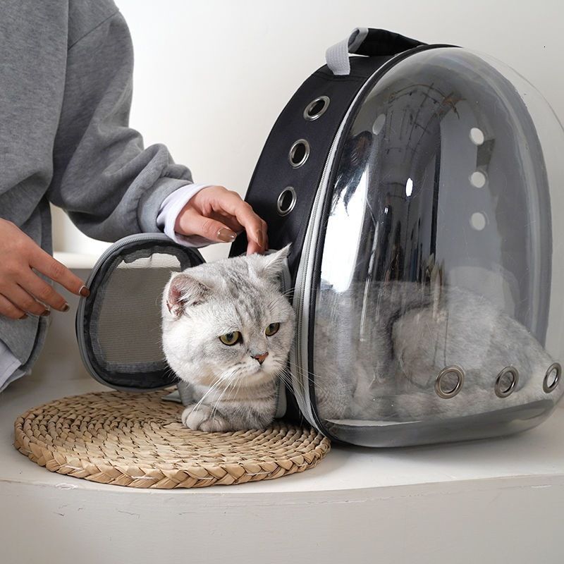 Carriers Pet Panoramic Outing Cat Bag Portable Breathable Clear Shoulder Puppy Space Capsule Backpack