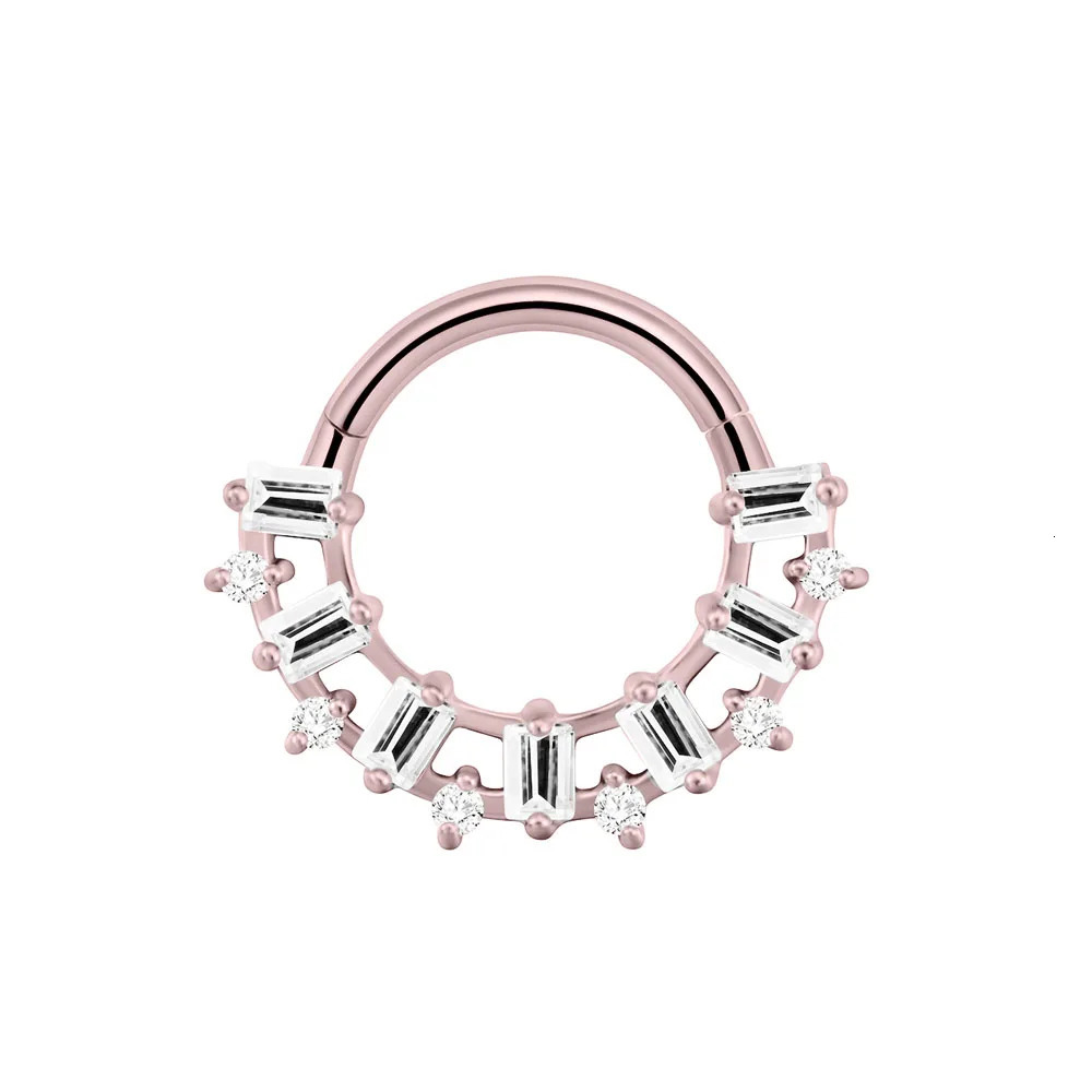 Flower Moon Septum Piercing Rectangle CZ Clicker Segment Nose Rings Daith Conch Hoop Earring Helix Body Jewelry 16G 250227