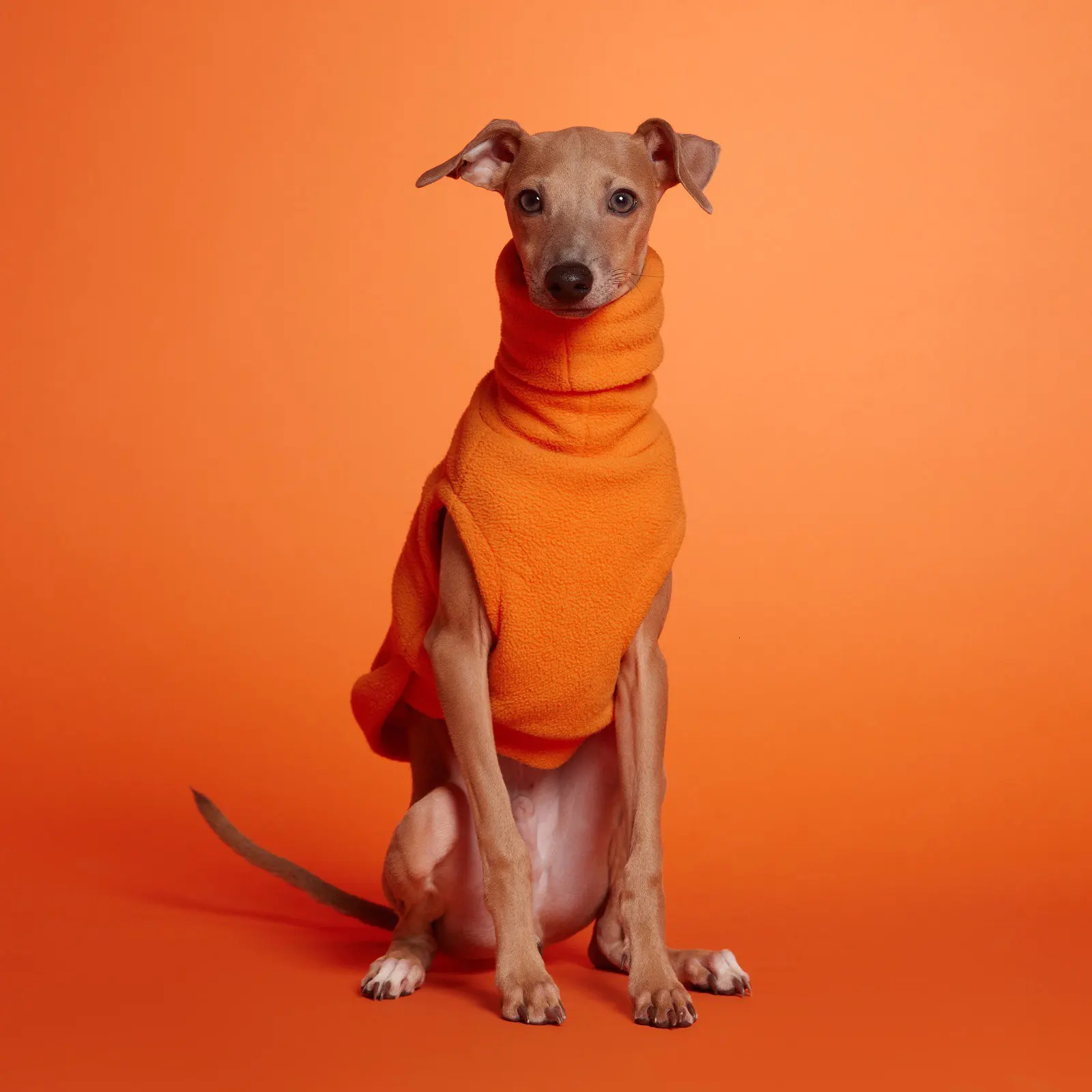 Winter Polar Fleece Italian Greyhound Warm Vest High Collar Double Layer Whippet Small and Medium Dog Coat 250226