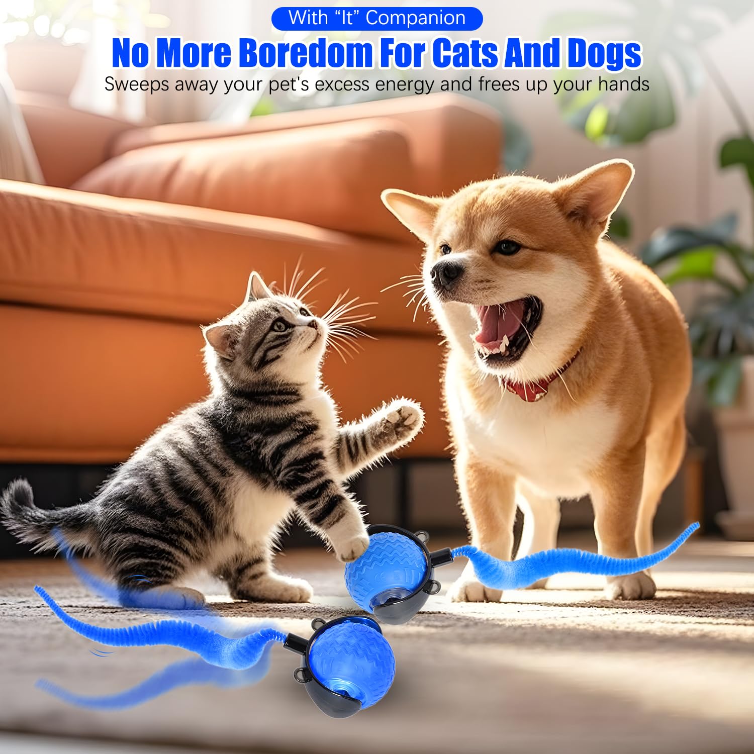 Automatic Moving Ball for Cat Dog Toy Ball